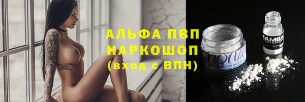ECSTASY Новозыбков