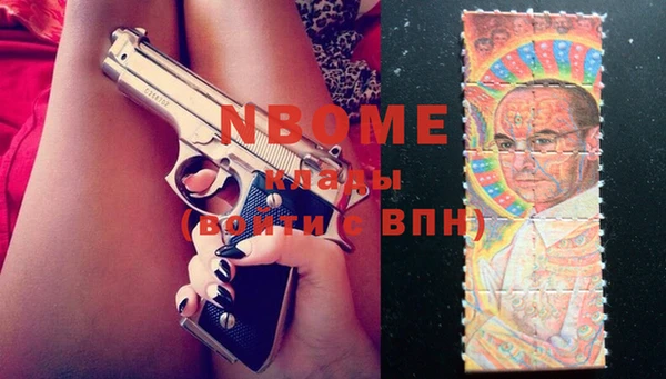 ECSTASY Новозыбков