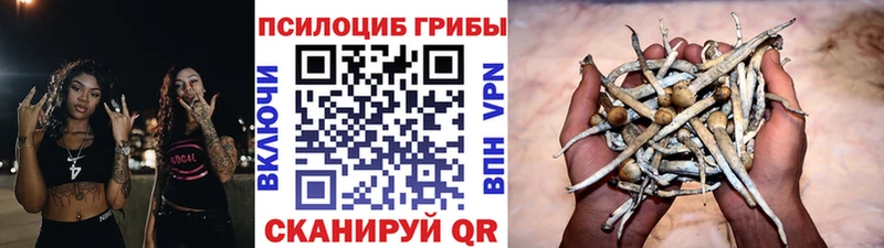 Псилоцибиновые грибы мицелий  Тимашёвск 